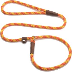 Mendota Pet Slip Leash - Dog Lead and Collar Combo - Made in The USA - Amber, 1/2 in x 6 ft - for Small/Medium Breeds