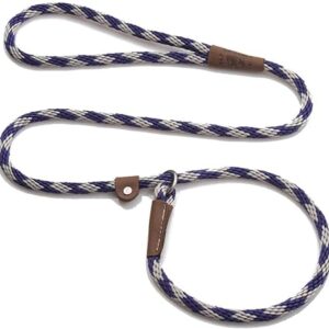 Mendota Pet Slip Leash - Dog Lead and Collar Combo - Made in The USA - Amber, 1/2 in x 6 ft - for Small/Medium Breeds